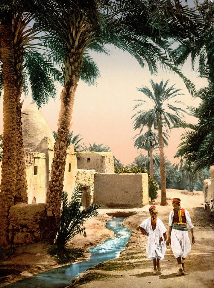 biskra1