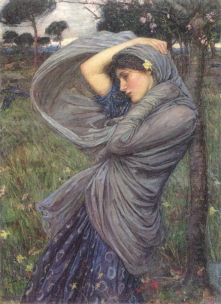 waterhouse-boreas